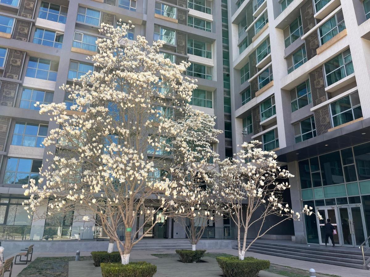 Beijing Elegant Seasons Park Apartment Pequim Exterior foto